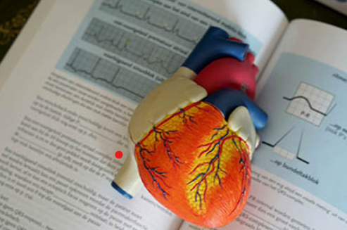 Risques cardiovasculaires au travail